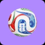 Ballon de football de la Coupe du monde